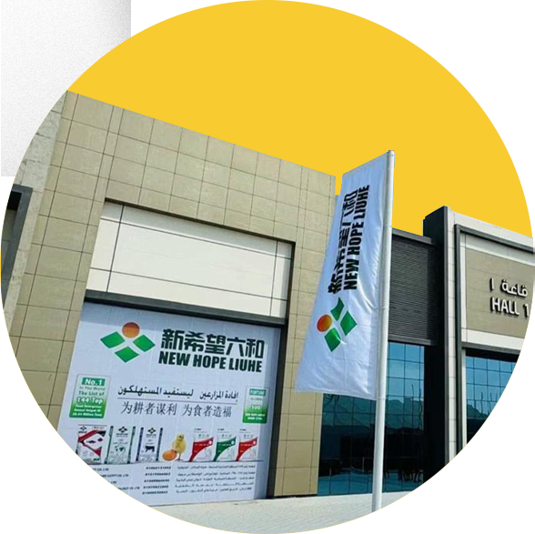 وجهات فنيل و اعلام